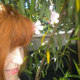 ALESSANDRA SALVATORI