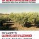 LA MEMORIA DELL'ALBERO LA MEMORIA DELL'ALBERO