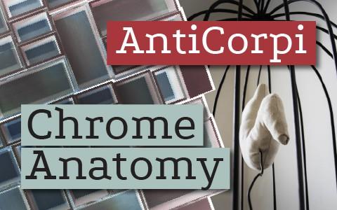 CHROME ANATOMY