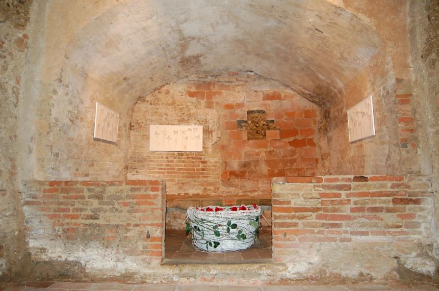 Oggi si inchiodano farfalle