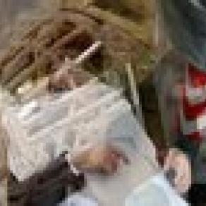 DOGVILLE# MOB to DOG dog TO mob [An history of daily violence]