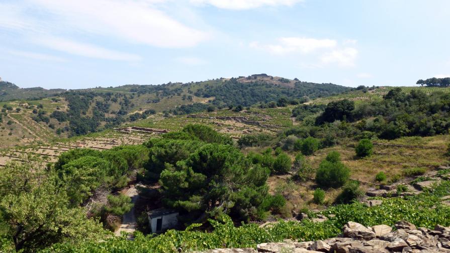 Le petite maisonette à l'ombre des pins
