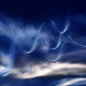 migrazioni del  cielo