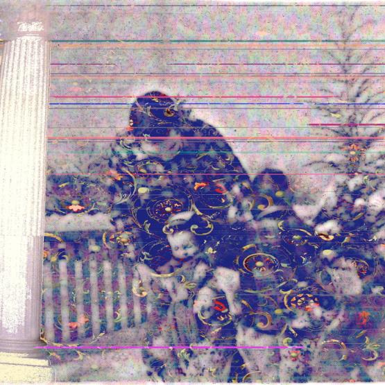 the cangiante snow-day portrait, dijon m.b.a. in situ