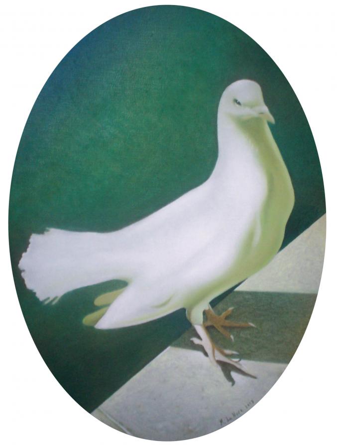 Marcello La Neve – Nuovi voli Marcello La Neve – Nuovi voli