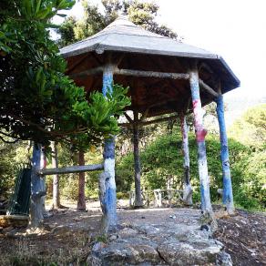 ...I VIAGGI DI TANYA (12)... 