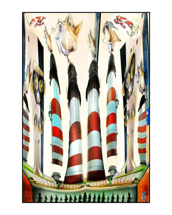 dicevo 5 anni fa'....ce un mondo misterioso dietro casa mia.Ora capisco.