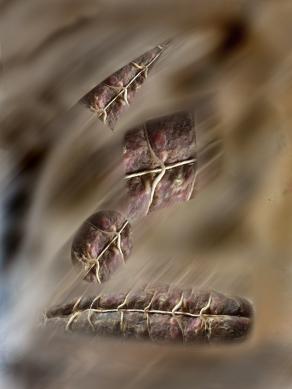 geometrie per un equilibrio fragile.