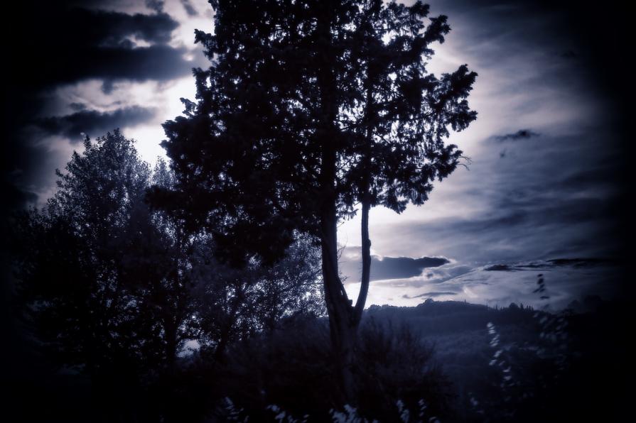 Quel che la natura "toglie" .... poi restituisce 