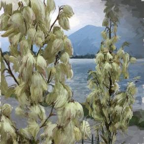 FIORITURA PROSPICIENTE IL LAGO