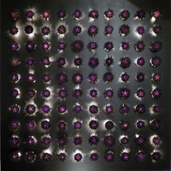 Apollineo e dionisiaco:ordine caotico della divina armonia n.1