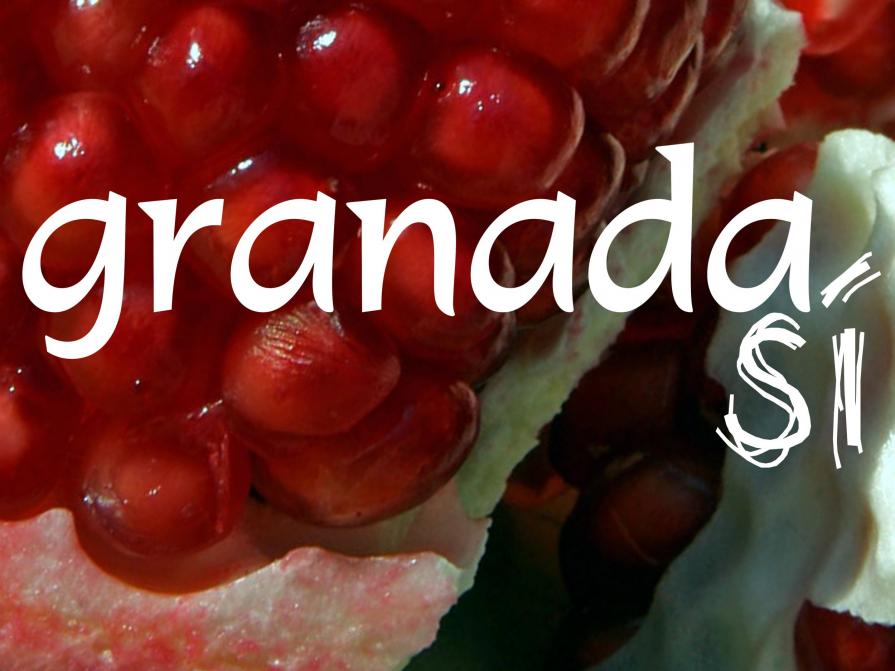 Granada SI