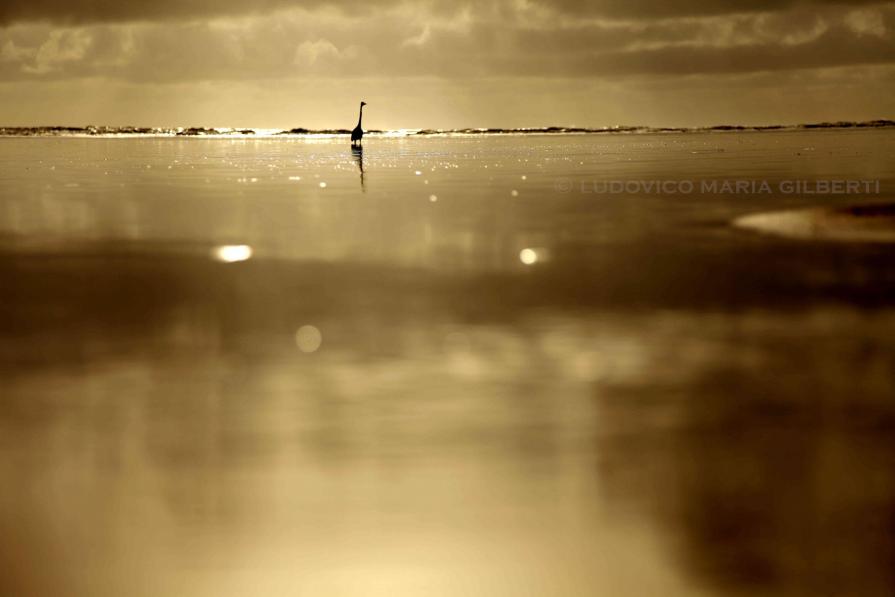 gold (serie "terrAmarecielo")