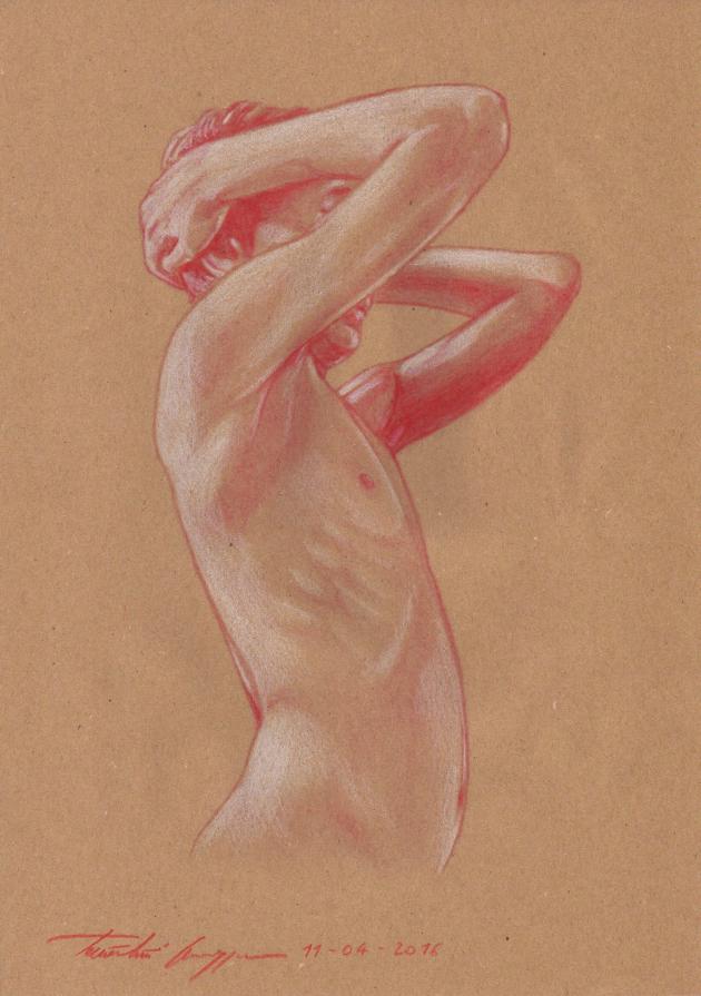 Studio per giovane Telamone