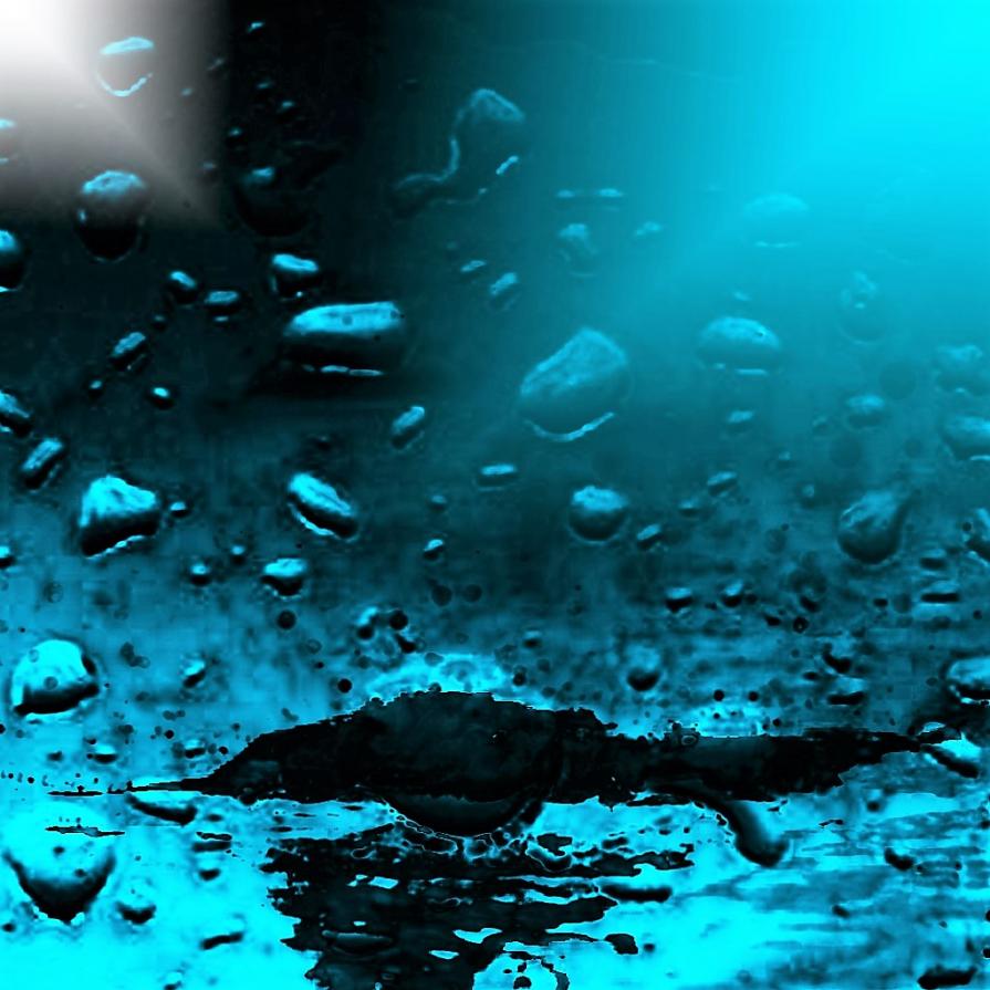 In mezzo al mondo !!!