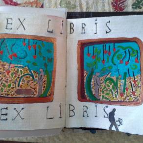 india del sud. work in progress