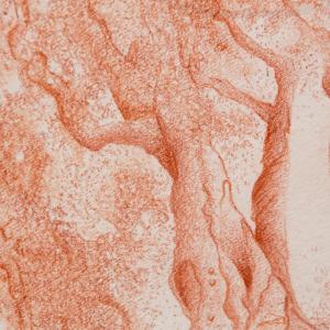 a U L I V O o f R 7 ®