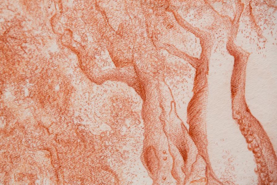 a U L I V O o f R 7 ®