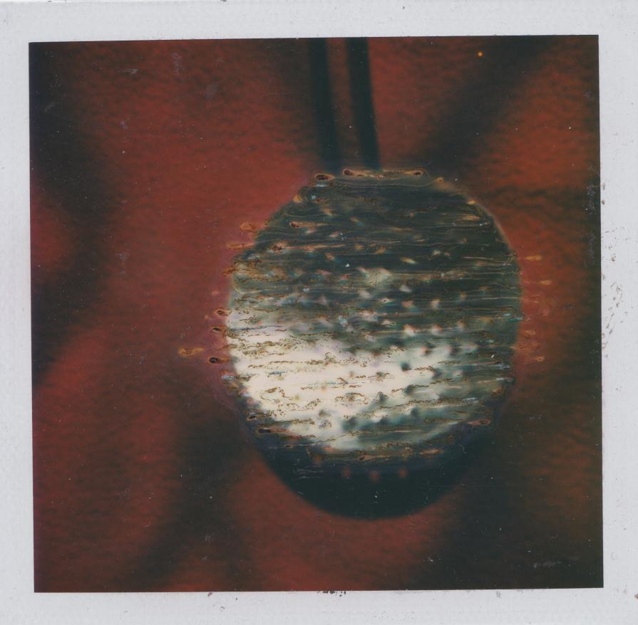 Red Polaroid 10