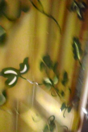 farfalle in ortopedia.