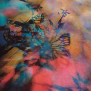 i colori della biodiversità