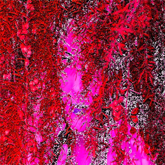 io con le mie mani ruberò dal sole un raggio d'oro e poi fra le tue dita te l'avvolgerò ...