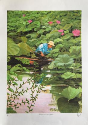 Maria Nobili – Raccoglitore di ninfee – litografia acquerellata su carta - 50 x 70