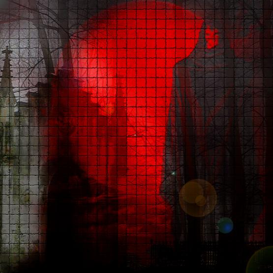 La paura non puoi metterla a dormire. E’ sempre sveglia.