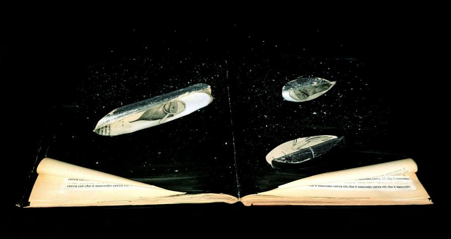 letizia ardillo -5 libri-mostra Visioni-Biblioteca Vallicelliana Roma