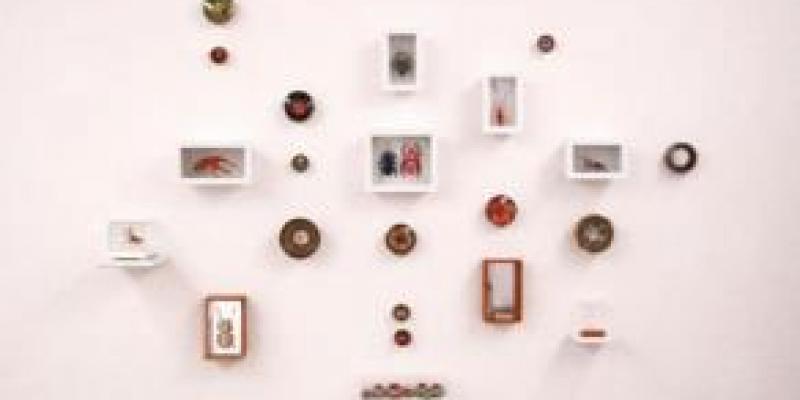 Quando tutto è silenzio le cose iniziano a parlare Quando tutto è silenzio le cose iniziano a parlare