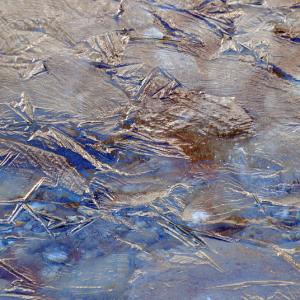 Italy. Val d'Aosta. White and his reflexes