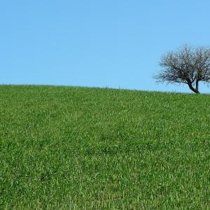 Italy. Calabria. Countryside