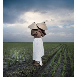 Obsolescence Obsolescence