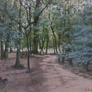 San Rossore .... Naturale bellezza