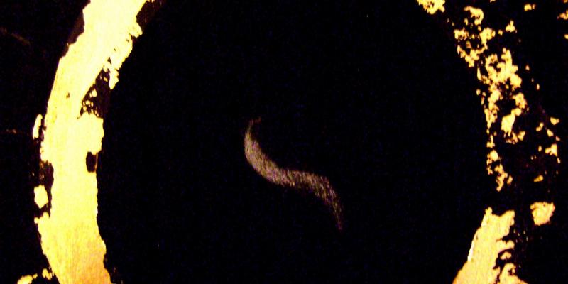 FOOTPRINTS FOOTPRINTS