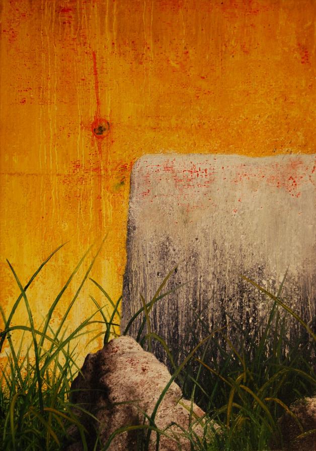 LANDSCAPE'S FRAME 2010 59X35CM