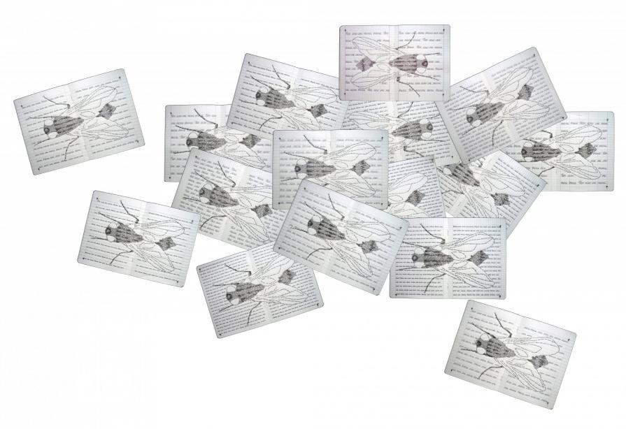 non sono una mosca bianca (2)