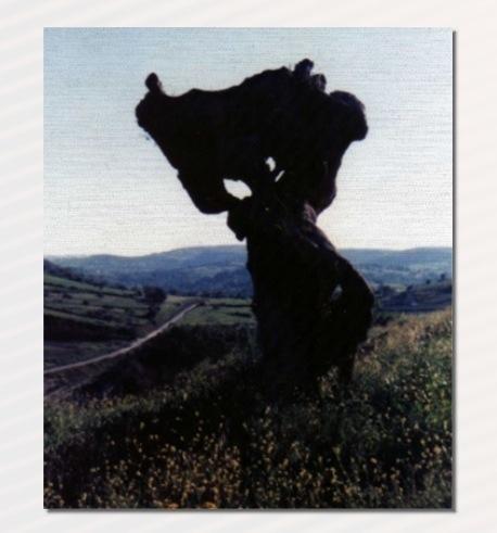 Nike Agreste Nike Agreste