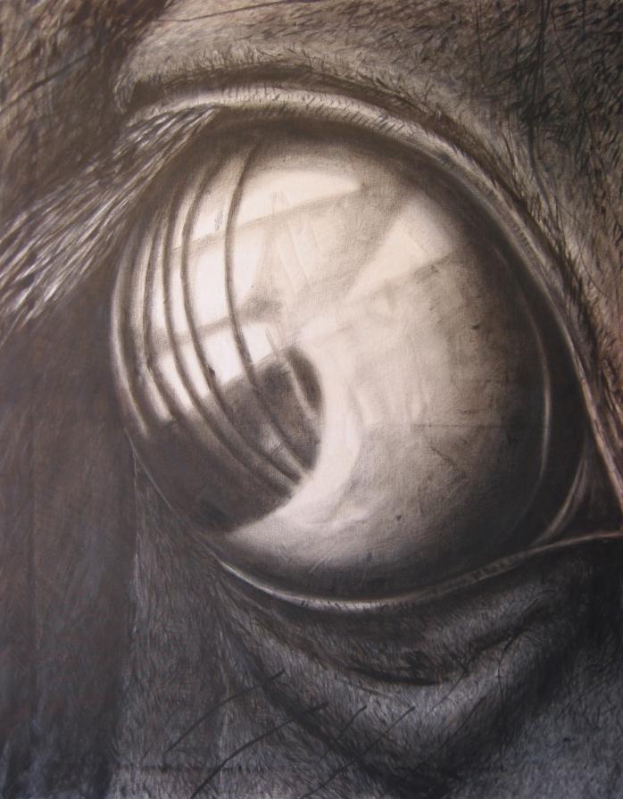 Directions 5 Directions 5