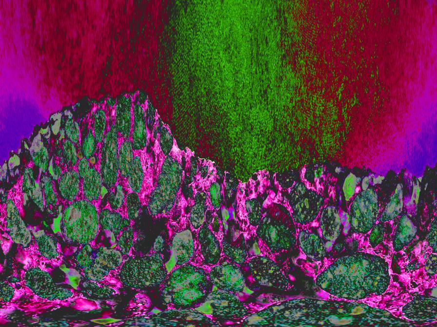 Cartoline dalle Isole: Stronghyle  (Stromboli)