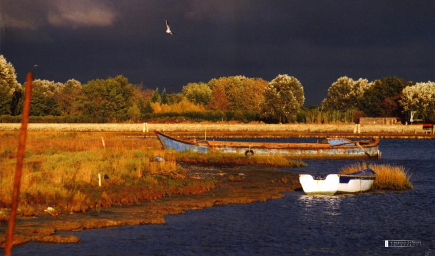 La Calma Prima della Tempesta