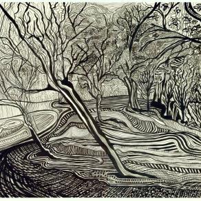 Landscape in Dimensions