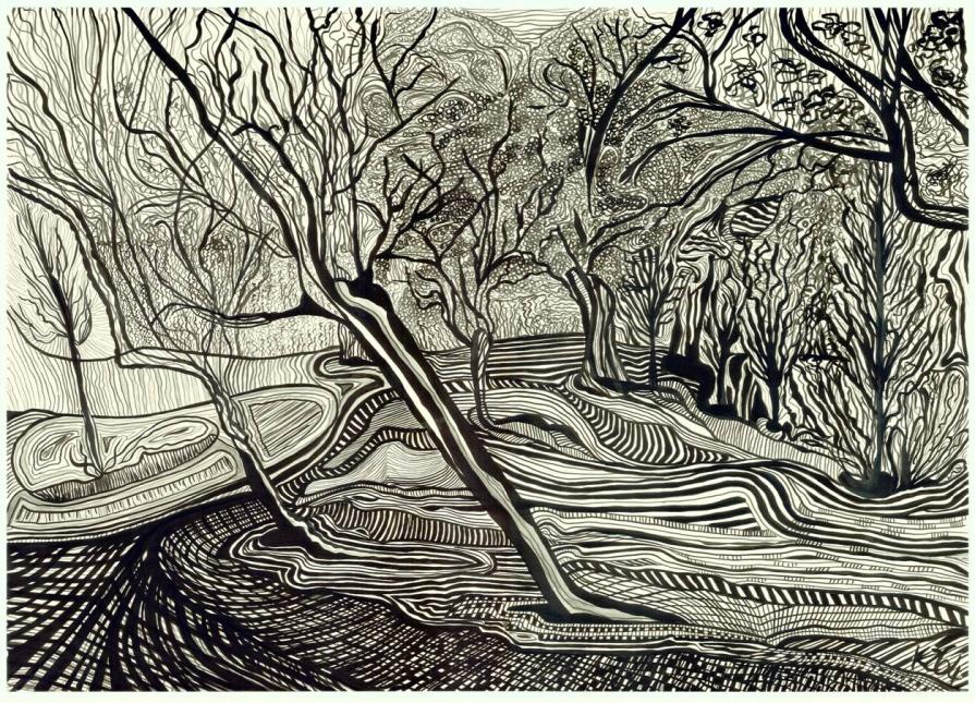 Landscape in Dimensions