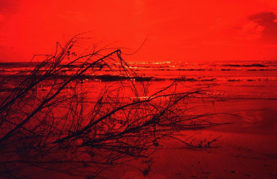 Gita sulla spiaggia poco dopo il Fall-Out nucleare