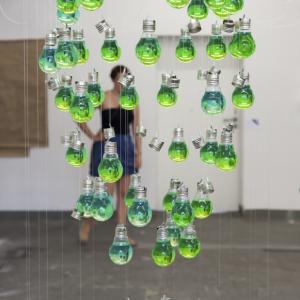 Involuntary memory of bulbs_object#2