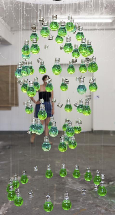 Involuntary memory of bulbs_object#2