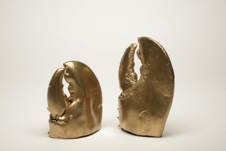 The Value of an Education