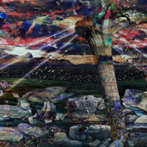 The Staff Of Moses The Staff Of Moses