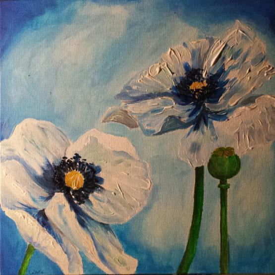 White poppies II 