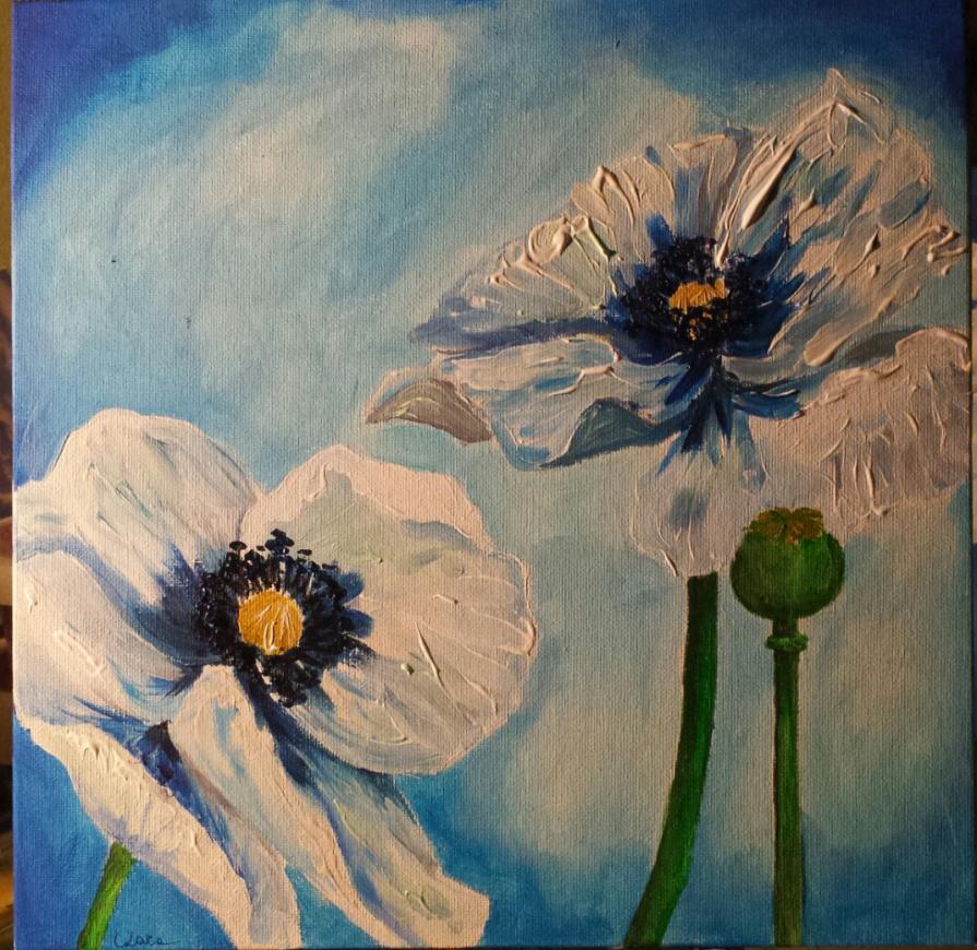 White poppies II 